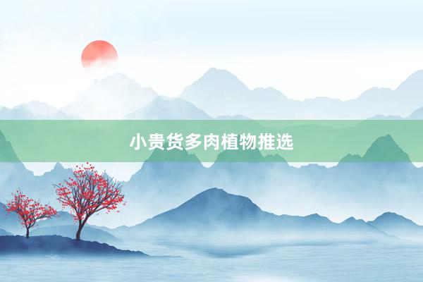 小贵货多肉植物推选